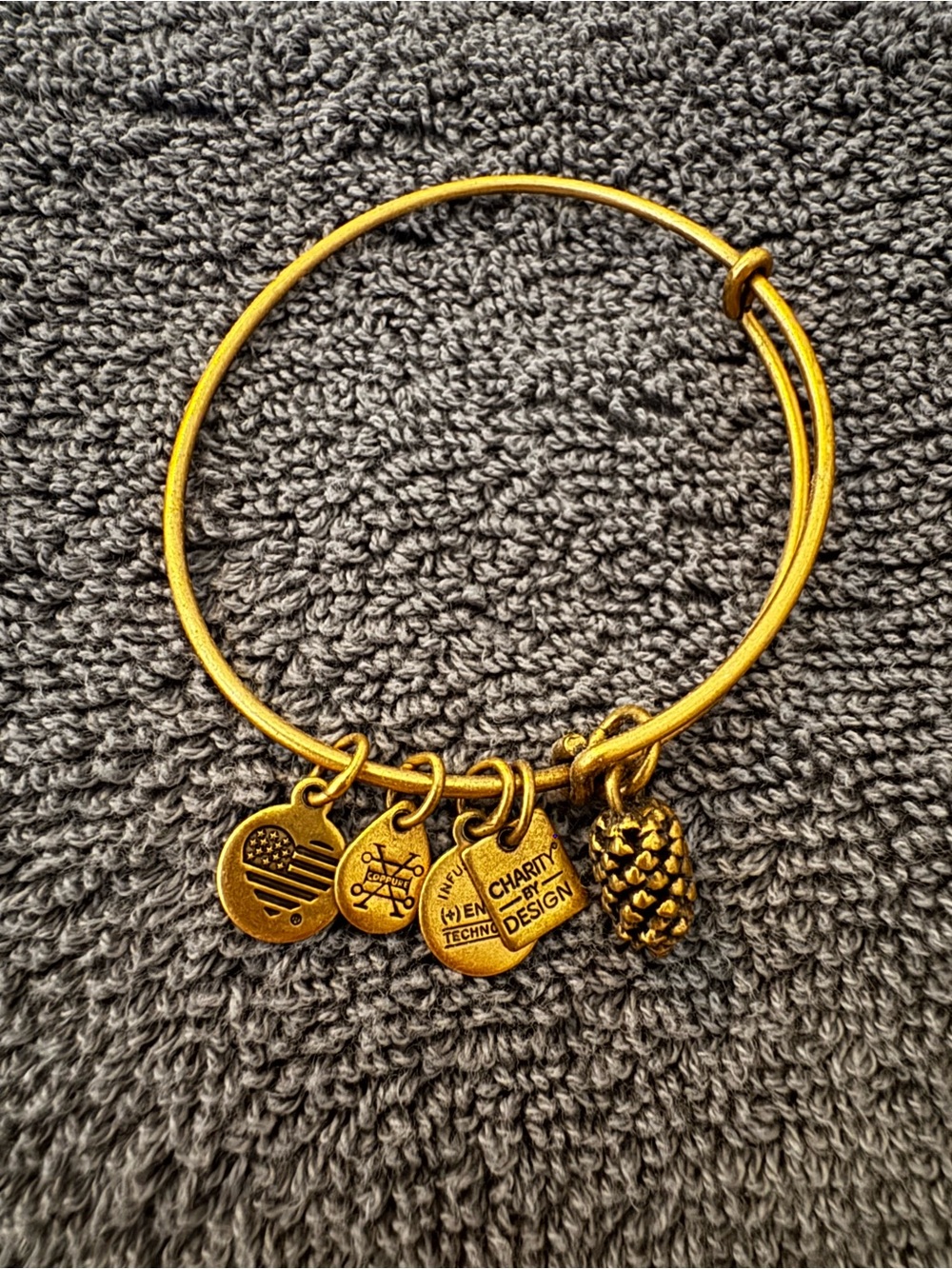 Alex and Ani Gold Tone Pinecone Charm Expandable Bangle